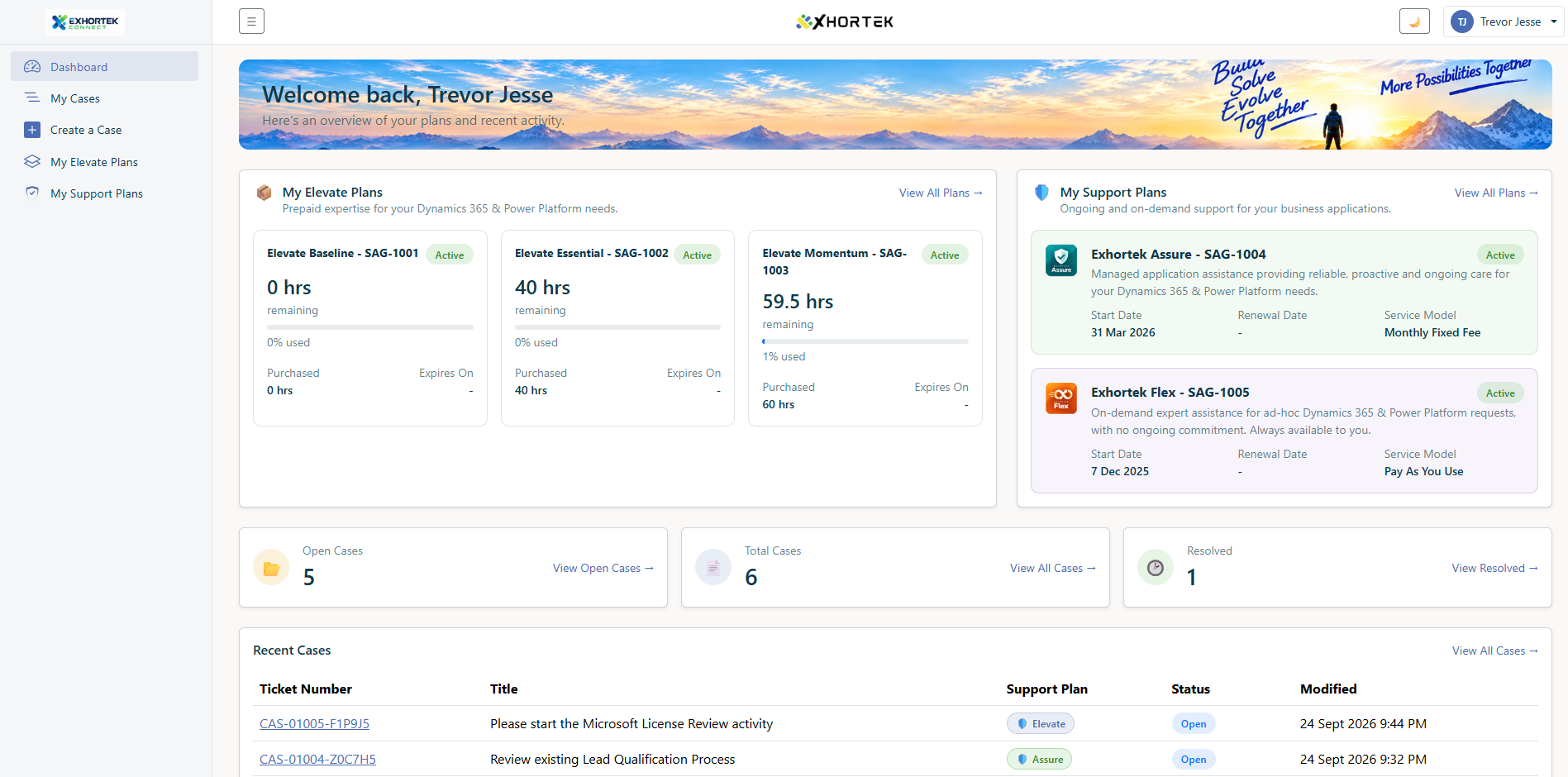 The Elevate portal showing hours remaining and a list of open cases